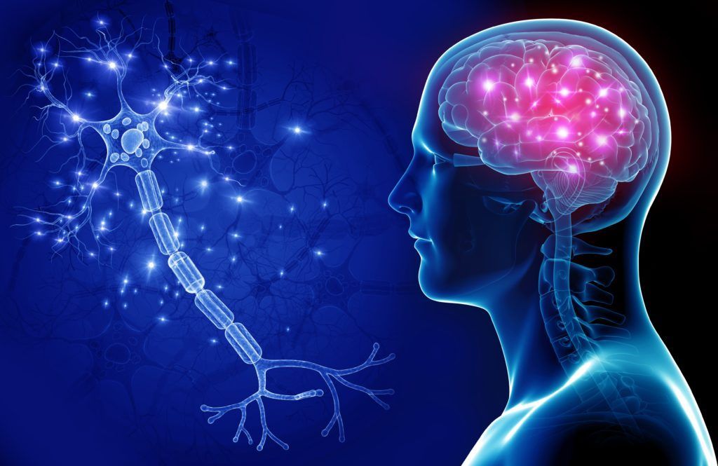 Neurology and Neurosurgery Specialist Care in Gurgaon